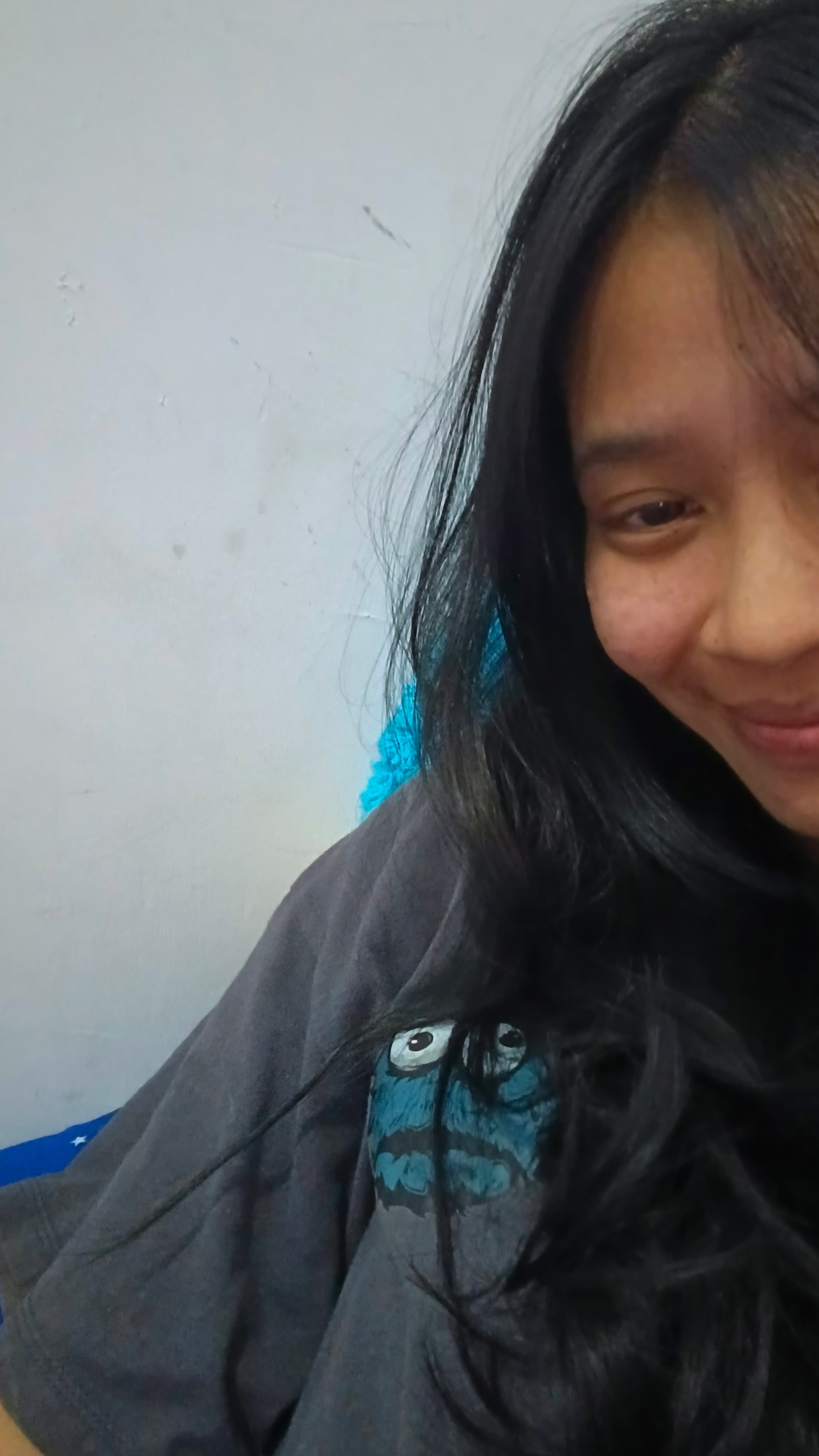 Memory 33